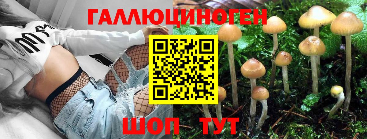 купить  сайты  Псилоцибиновые грибы Cubensis  Вход с VPN  Туапсе 