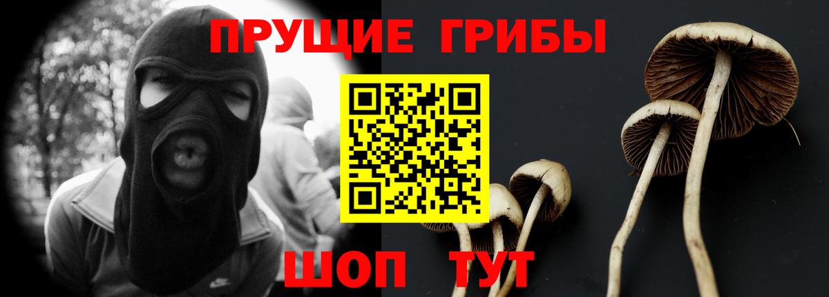 Галлюциногенные грибы Cubensis Туапсе